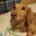 Robert Phillips - Facebook