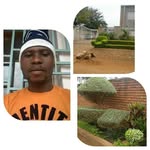 Robert Phiri - @robert.phiri.50999 - Instagram
