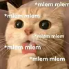 Robert Phùng - @phungngochaii7777 - TikTok