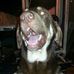 Robert Phythian - Facebook