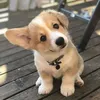 RoBert thian - @robert.thian - TikTok