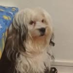 Robert Picard - @robert.picard.940 - Instagram