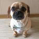 Robert Pickard - @rbrtpickard777 - Instagram