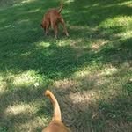 Robert Pickard - @robert.pickard.900lem_jr - Instagram