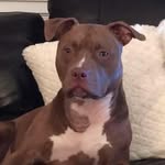 Robert Pickard - @robert.pickard.35 - Instagram