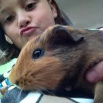 3 Guinea Pigs - @robert_pickels_charlie - Instagram