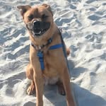 Pickel - @robert.pickel - Instagram