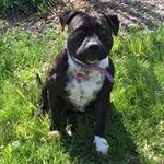 Robert Picken - @robert_j_p1 - Instagram