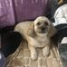 RobertJannell Pickeral - Facebook