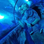 Robert Pickup - @cybershot647 - Instagram