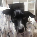 Roberto Pierno - @roberto.pierno.9 - Instagram