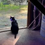 Robert Piersall - @robertpiersallpiersall - Instagram