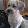 robertpietro671 - @robertpietro671 - TikTok