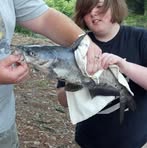 Robert Pigott - Facebook
