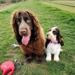 Robert Pinch - @robert.pinch128 - Instagram