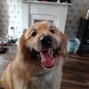 Robert Pitt - @robert.pitt - TikTok