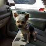 Robert Place - @robertplace76 - Instagram
