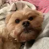 Plathr1209 - @robert.plath - TikTok
