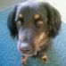 Robert Platte - Facebook