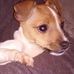 Robert Platts - Facebook