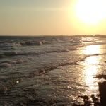 Robert Pleasant - @turnistan - Instagram