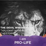 Robert Pledger - @robert.pledger.35 - Instagram