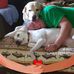 Robert Pledger - Facebook