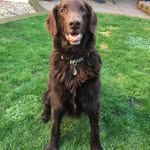 Katherine Plowden Roberts - @katherineplowdenroberts - Instagram