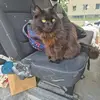 Robert Plucinski - @robert.plucinski0 - TikTok
