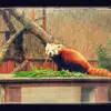 robertpochopie - @robertpochopie - TikTok