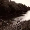 robertaspocius468 - @robertaspocius468 - TikTok
