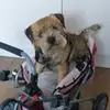 Robert Pohlmann - @robertpohlmann - TikTok