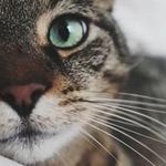 Polgár Róbert - @robert_polgar - Instagram