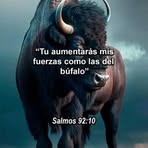 Robert C Polan - Facebook
