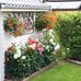 Robert Pollet - Facebook