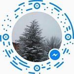 robert pontarelli - @rpontarelli48 - Instagram