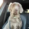 robert_posadas - @robert_posadas - TikTok