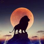 Robert Posch - @andreas.posch3 - Instagram