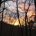 Robertposch - @robertposch6 - Instagram
