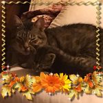 Robert Postelle - @robertpostelle - Instagram