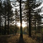 Robert powers - @powers5746 - Instagram