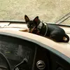 Robert powers - @robert.powers00 - TikTok