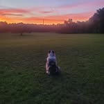 Robert Poynter - @agman01 - Instagram