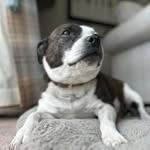 Robert Pratt - @robert.pratt.31105 - Instagram