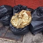 Bill Nye The Science Guy - @robertpremus - Instagram
