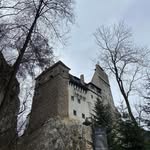 Robert Pridemore - @reriobdlio - Instagram