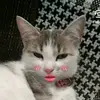 Роберт,  приём! - @robertpriem - TikTok