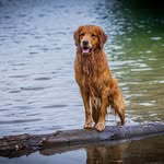 Robert Priem - @priem.robert - Instagram