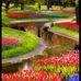 Robert Prill - Facebook