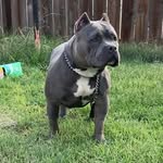 Robert Primo Posada - @loyalty_b4_royalty209 - Instagram